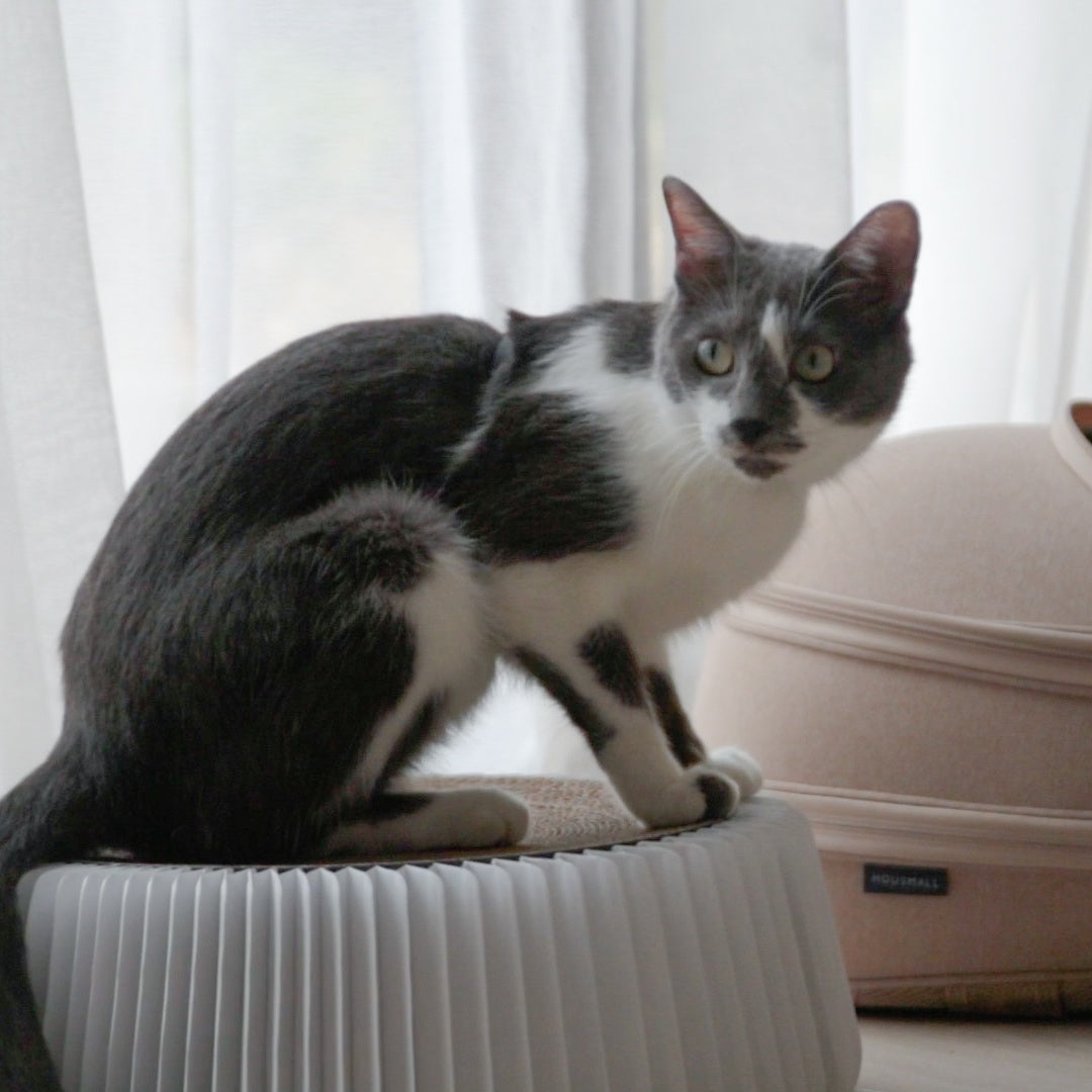 小宅生活 Housmall Living POUF 小宅貓抓板 - 高品質貓抓板 - 特價 $TWD 600|LOVE PET FAMILY