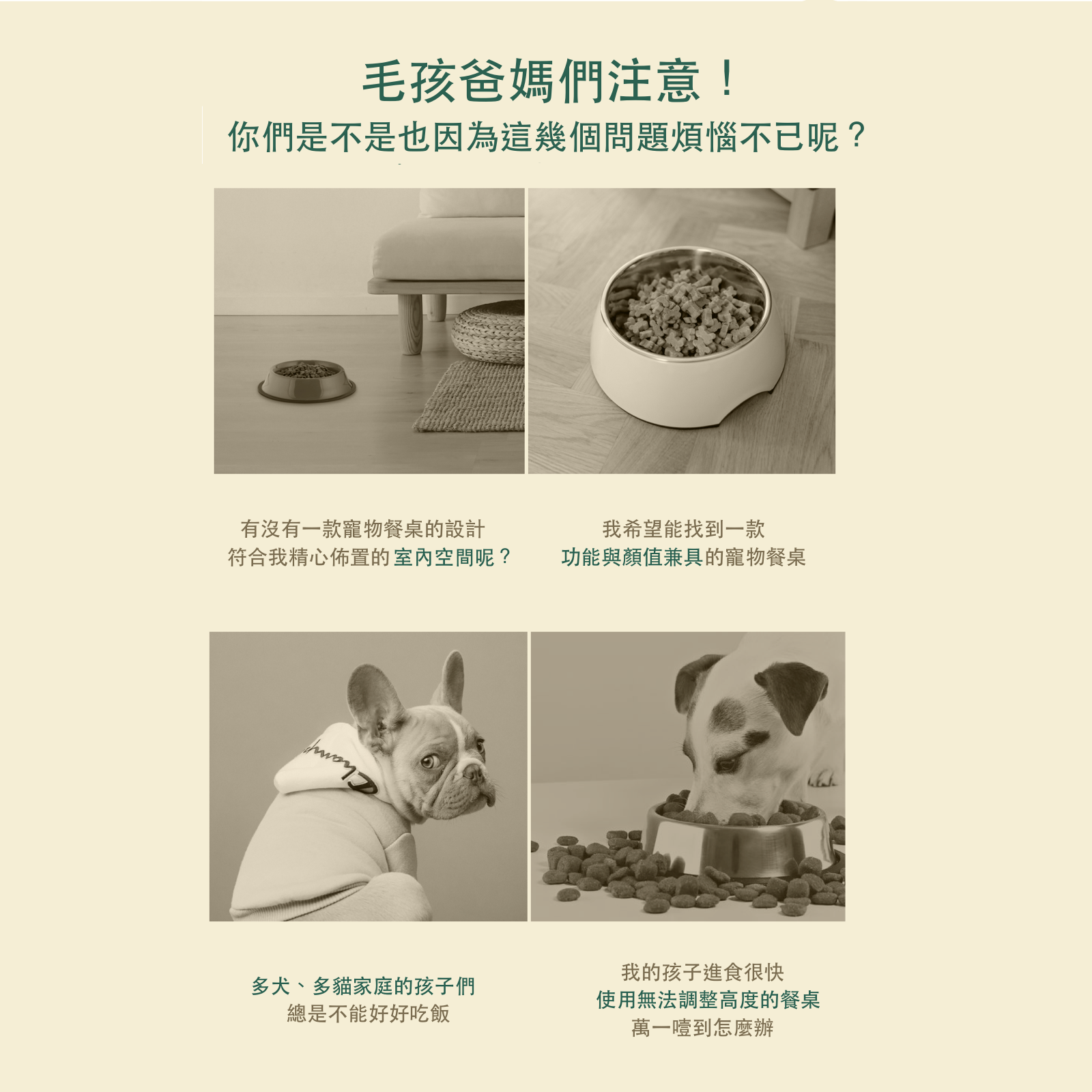 韓國 Fidotail 弧面6段式調節寵物碗架