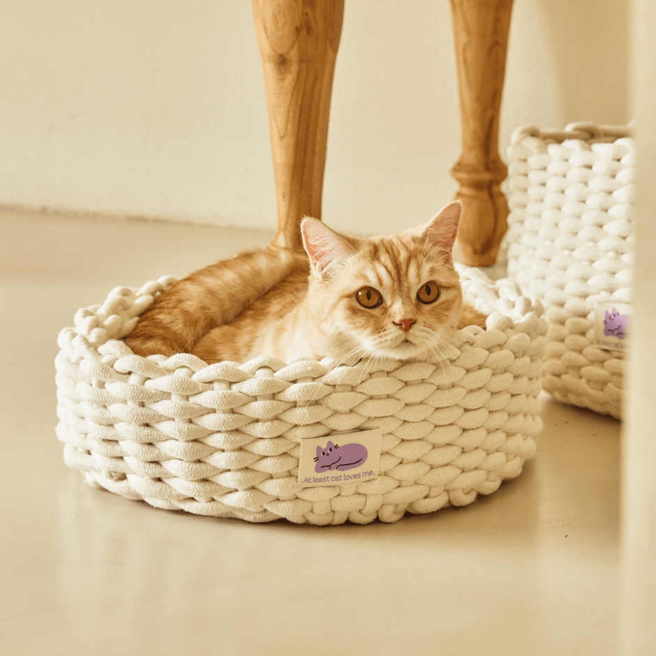 韓國 Fidotail 折疊編織貓窩狗窩寵物窩 - 高品質寵物窩 - 特價 $TWD 1080|LOVE PET FAMILY