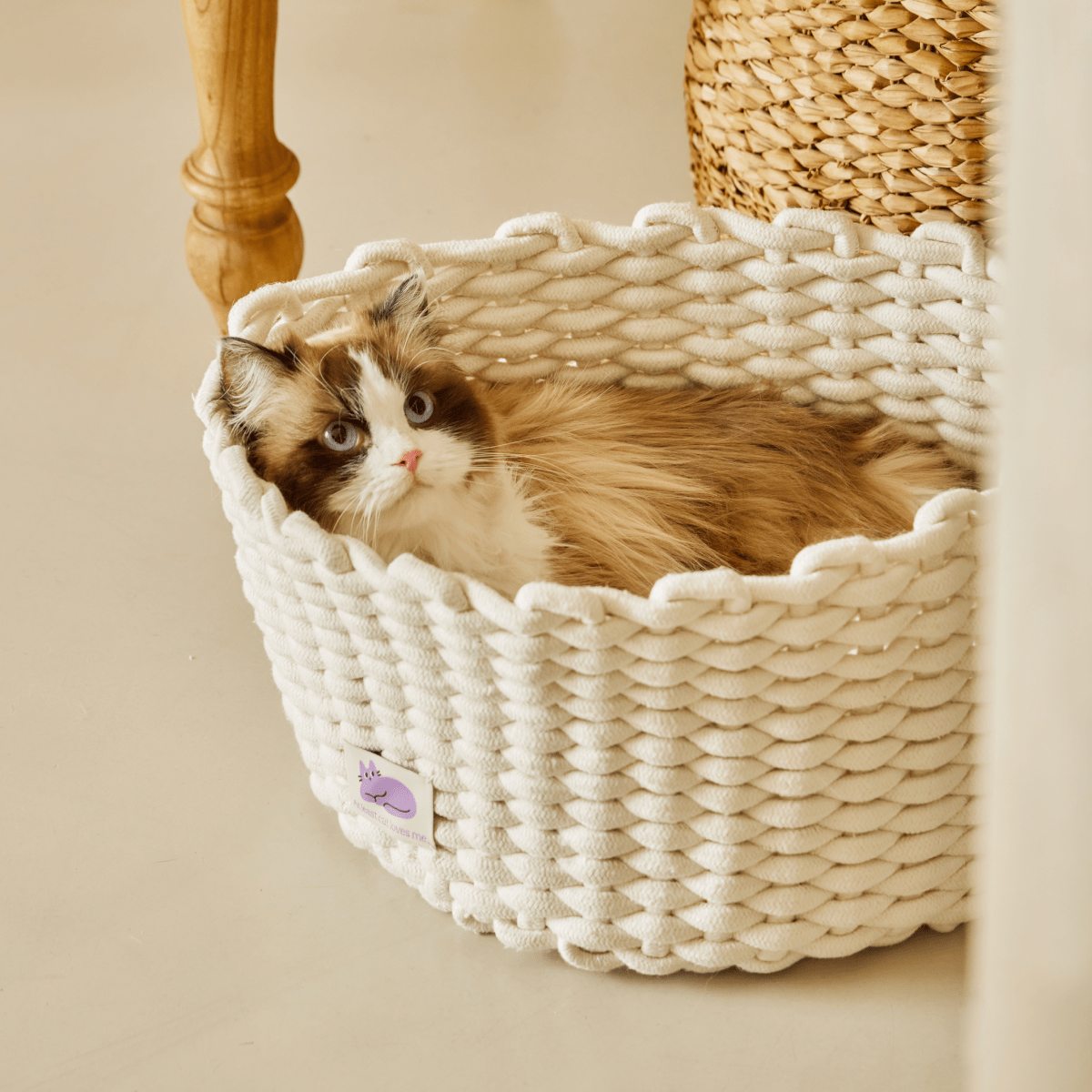 韓國 Fidotail 折疊編織貓窩狗窩寵物窩 - 高品質寵物窩 - 特價 $TWD 1080|LOVE PET FAMILY