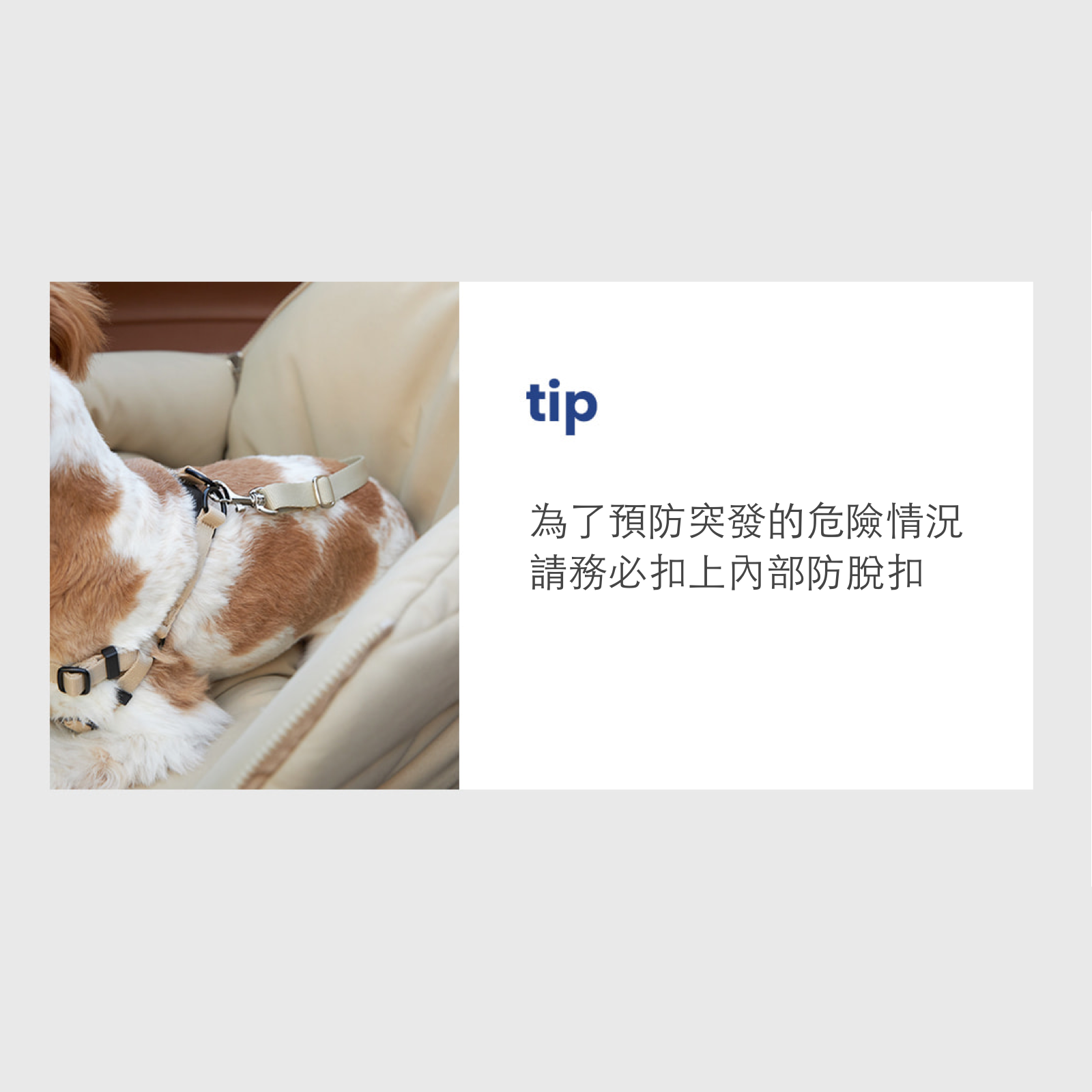 韓國 likalika 貝殼寵物安全座椅外出包|12 kg 以下適用