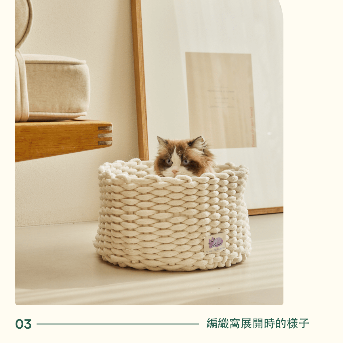 韓國 Fidotail 折疊編織貓窩狗窩寵物窩 - 高品質寵物窩 - 特價 $TWD 1080|LOVE PET FAMILY