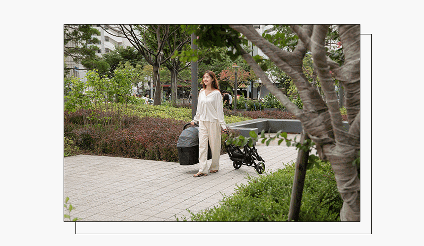 韓國 Rottie 雙開敞篷氣輪寵物推車 Noblesse Dome D|一車三用 分離式提籃 |小麥米 - 高品質寵物推車 - 特價 $TWD 12750|LOVE PET FAMILY