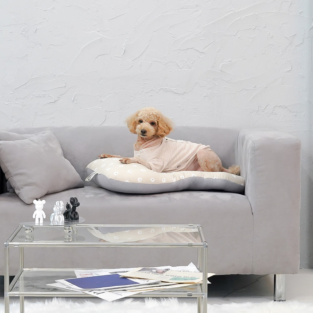 韓國 Rottie 寵物推車配件推車座艙墊|比熊系列 - 高品質寵物推車 - 特價 $TWD 1260|LOVE PET FAMILY