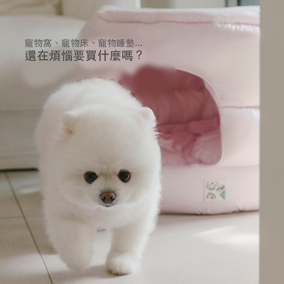 韓國 Pogle 四季防蟎兩用型貓窩狗窩寵物沙發墊 |奶油黃 - 高品質寵物窩 - 特價 $TWD 2786|LOVE PET FAMILY