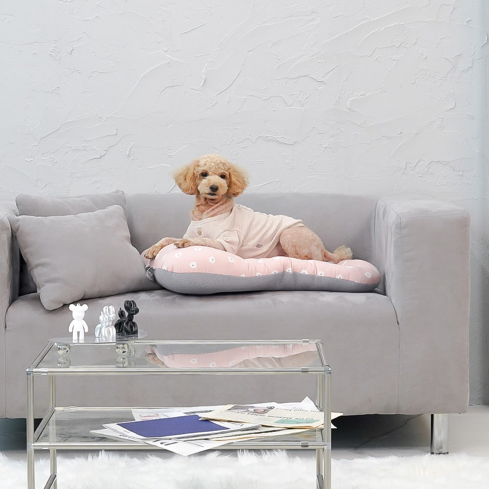 韓國 Rottie 寵物推車配件推車座艙墊|比熊系列 - 高品質寵物推車 - 特價 $TWD 1260|LOVE PET FAMILY