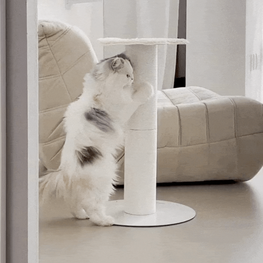 韓國 Fidotail 簇絨墊麻繩貓抓柱|兩層 61cm - 高品質貓抓柱 - 特價 $TWD 2985|LOVE PET FAMILY