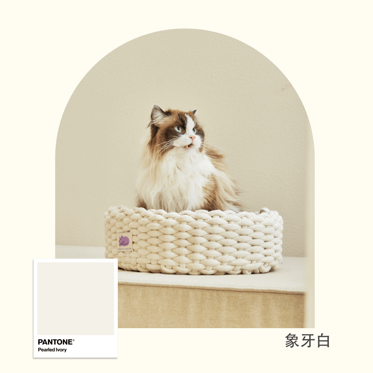 韓國 Fidotail 折疊編織貓窩狗窩寵物窩 - 高品質寵物窩 - 特價 $TWD 1080|LOVE PET FAMILY