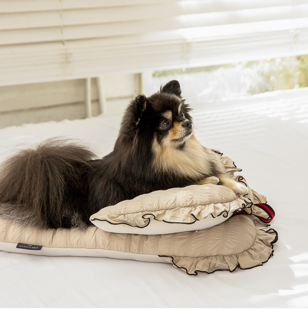 韓國 HARRYSPET 寵物推車配件寵物推車枕|New Margaret The Lace 系列 - 高品質寵物推車配件 - 特價 $TWD 882|LOVE PET FAMILY