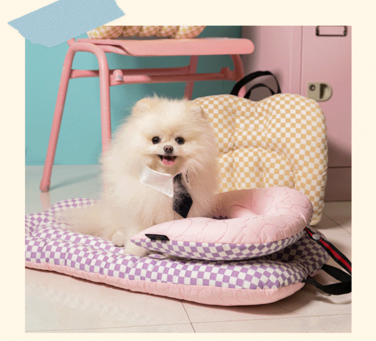 韓國 HARRYSPET 寵物推車配件寵物推車枕|Berry more Two way 系列 - 高品質寵物推車配件 - 特價 $TWD 972|LOVE PET FAMILY