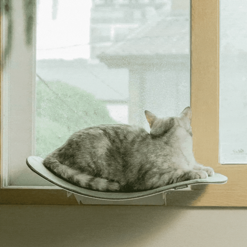 韓國 Fidotail 毛氈波浪窗邊貓抓板 - 高品質寵物碗架組 - 特價 $TWD 2300|LOVE PET FAMILY