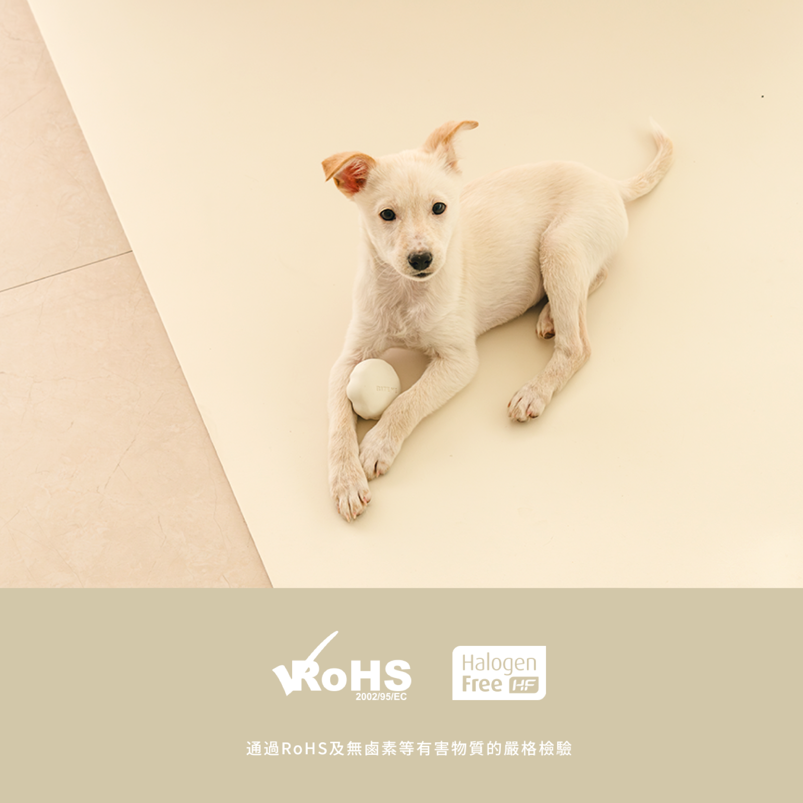 韓國 guruguru 捲式寵物防滑防水地墊|奶油白 - 高品質寵物防滑地墊 - 特價 $TWD 2780|LOVE PET FAMILY