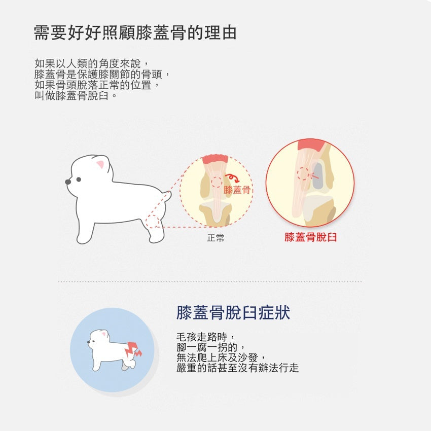 韓國 HARRYSPET 寵物推車配件推車座艙墊| Plié 系列 - 高品質寵物推車配件 - 特價 $TWD 1872|LOVE PET FAMILY