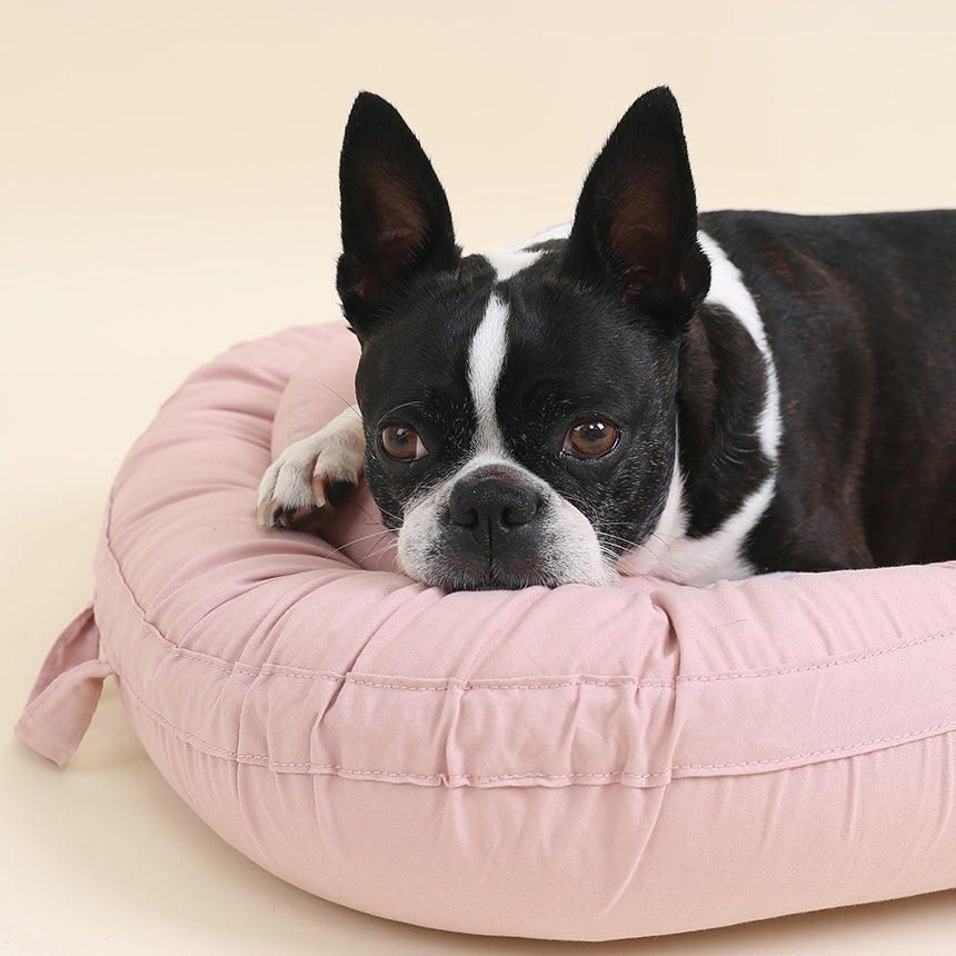 韓國 POMPOLARR PET 寵物推車配件推車座艙墊+枕頭套組 - 高品質寵物推車配件 - 特價 $TWD 1980|LOVE PET FAMILY