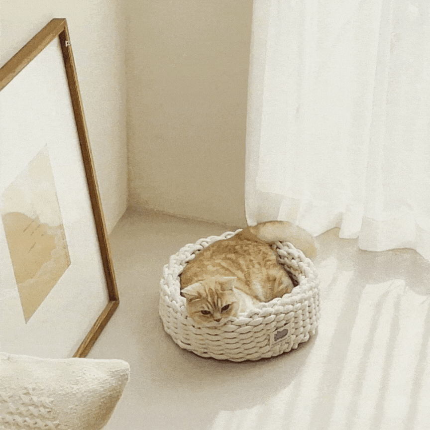 韓國 Fidotail 折疊編織貓窩狗窩寵物窩 - 高品質寵物窩 - 特價 $TWD 1080|LOVE PET FAMILY