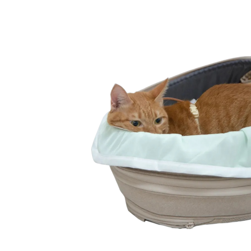 小宅生活 Housmall Living MINT 機能涼感被 - 高品質消暑用品 - 特價 $TWD 400|LOVE PET FAMILY