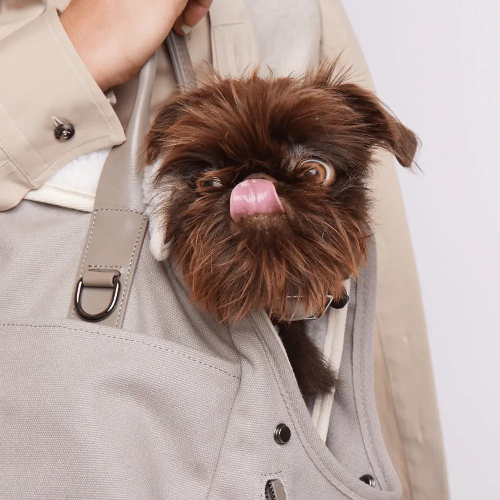 美國 maxbone 手提寵物外出包 City Carrier Bag