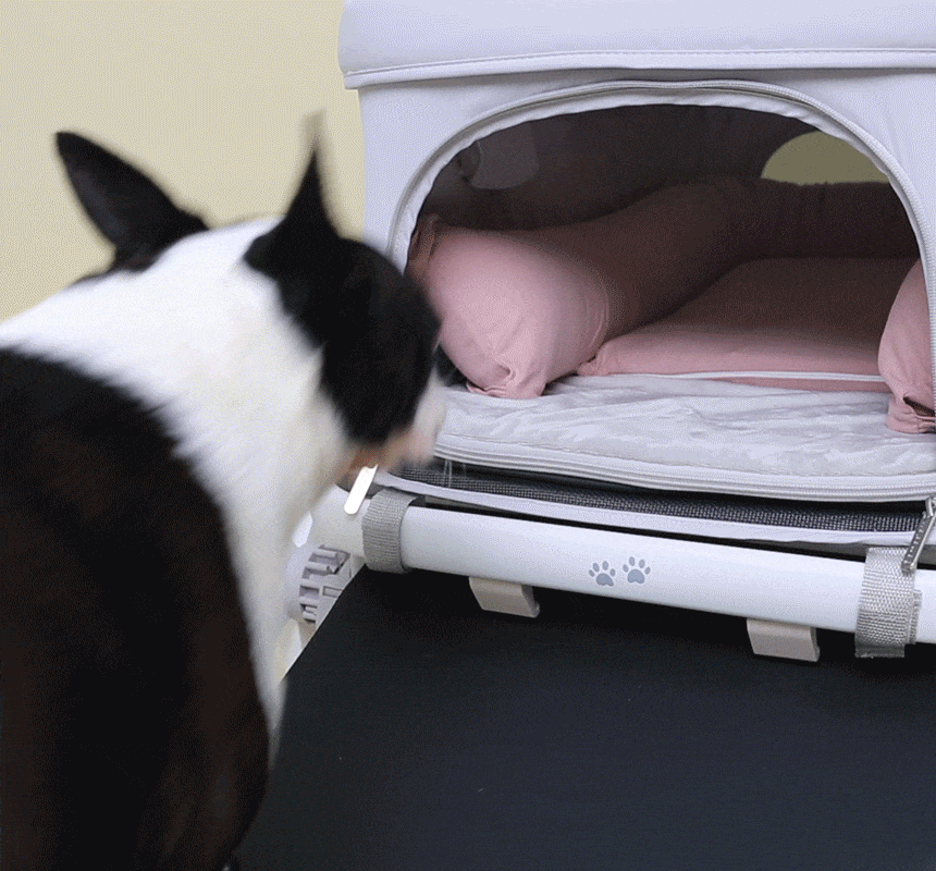 韓國 POMPOLARR PET 寵物推車配件推車座艙墊+枕頭套組 - 高品質寵物推車配件 - 特價 $TWD 1980|LOVE PET FAMILY