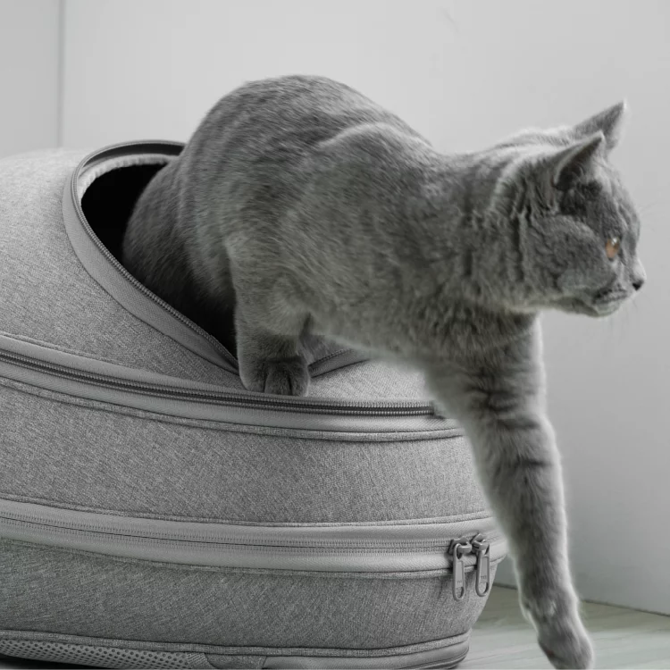 小宅生活 Housmall Living 一包兩用 EGGY 小宅包|優雅淺灰 - 高品質寵物背包 - 特價 $TWD 3230|LOVE PET FAMILY