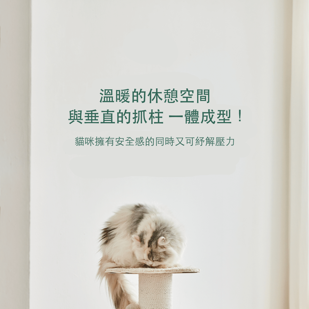 韓國 Fidotail 簇絨墊麻繩貓抓柱|兩層 61cm - 高品質貓抓柱 - 特價 $TWD 2985|LOVE PET FAMILY
