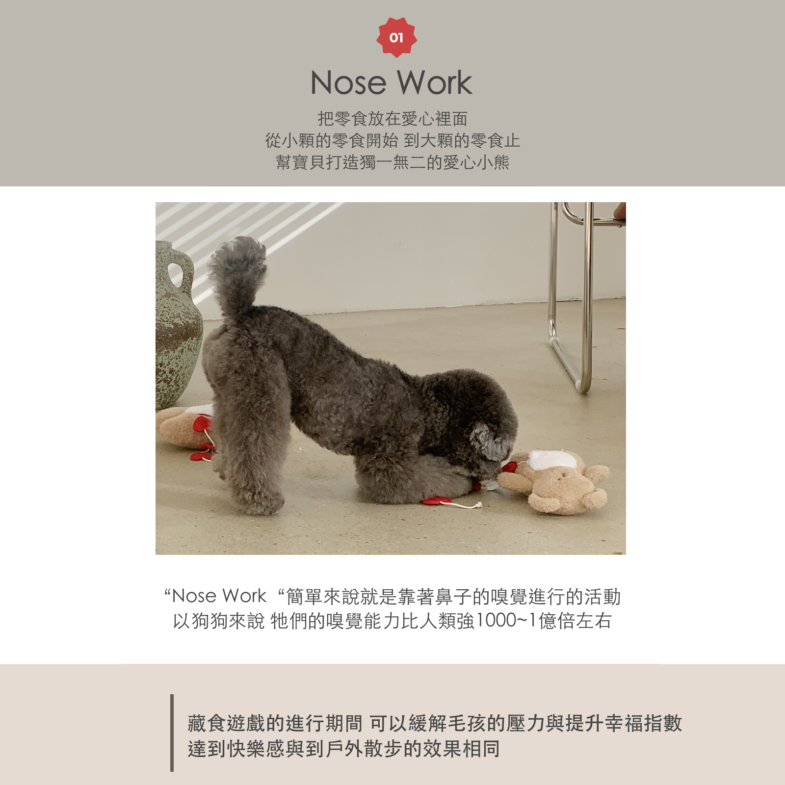 韓國 likalika 愛心小熊藏食貓狗玩具