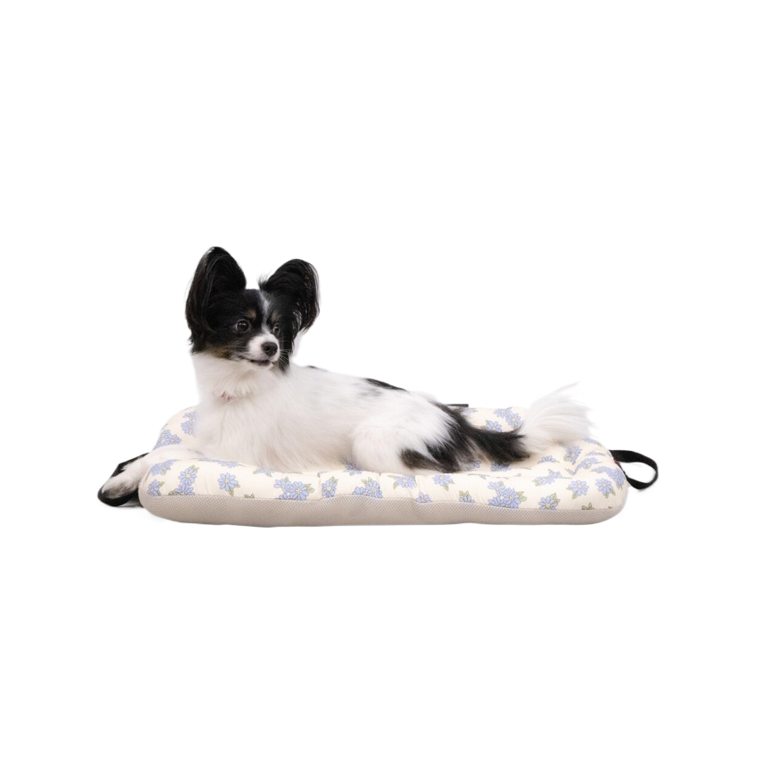 韓國 HARRYSPET 寵物推車配件推車座艙墊|Boutique系列 - 高品質寵物推車配件 - 特價 $TWD 2160|LOVE PET FAMILY