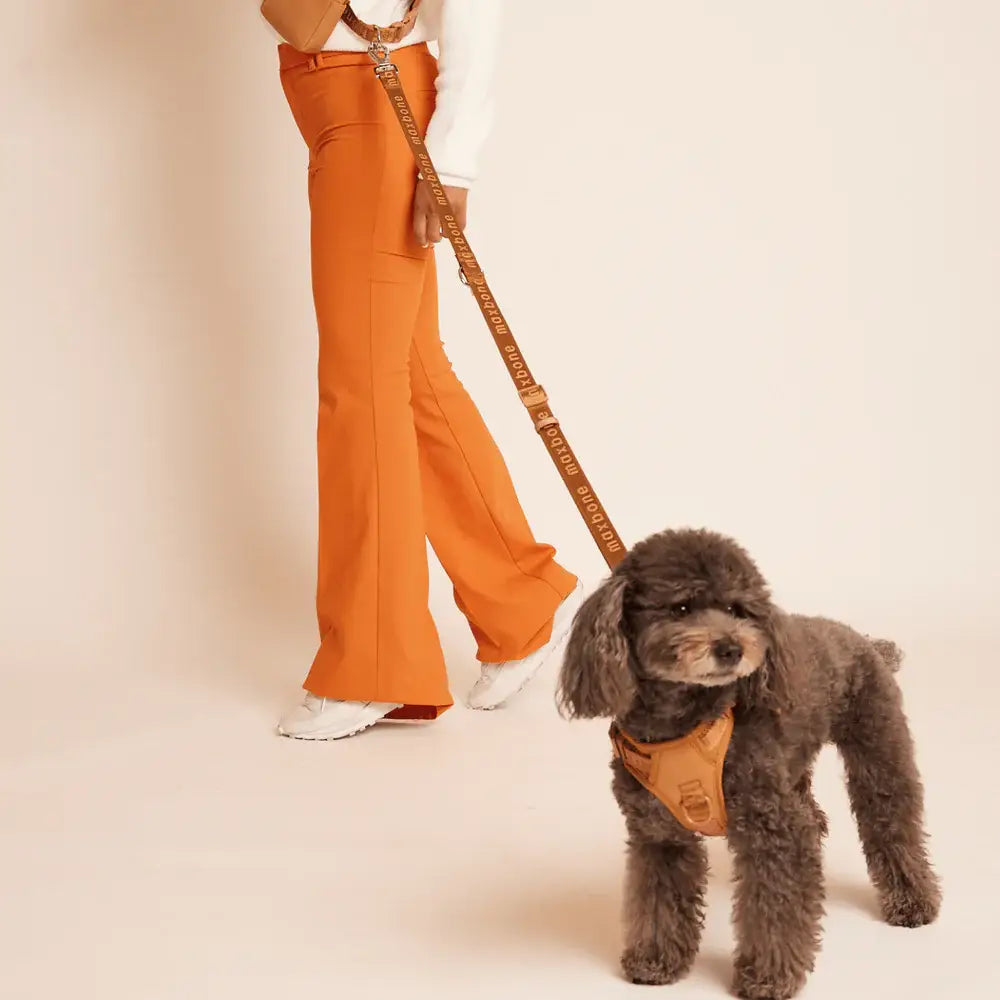 美國 maxbone 馬卡龍多功能免持寵物牽繩 Ease Hands Free Leash