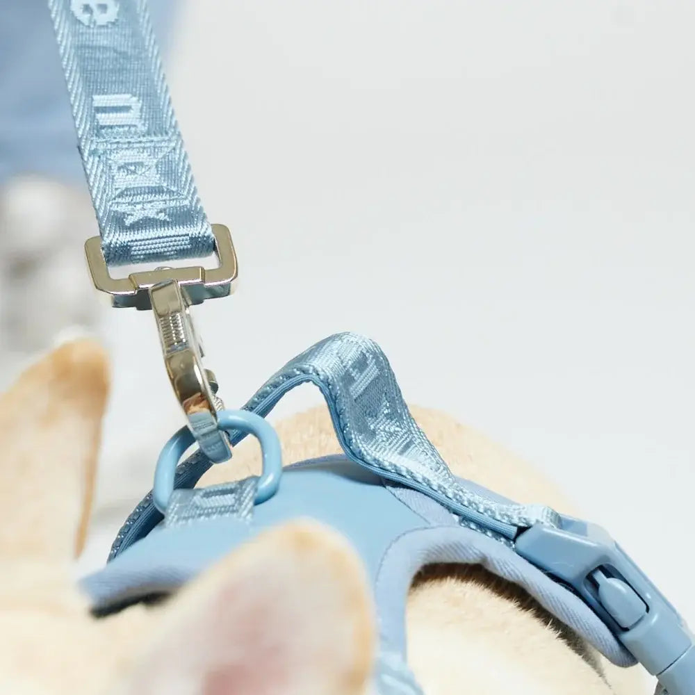 美國 maxbone 馬卡龍透氣寵物胸背帶 Easy Fit Harness