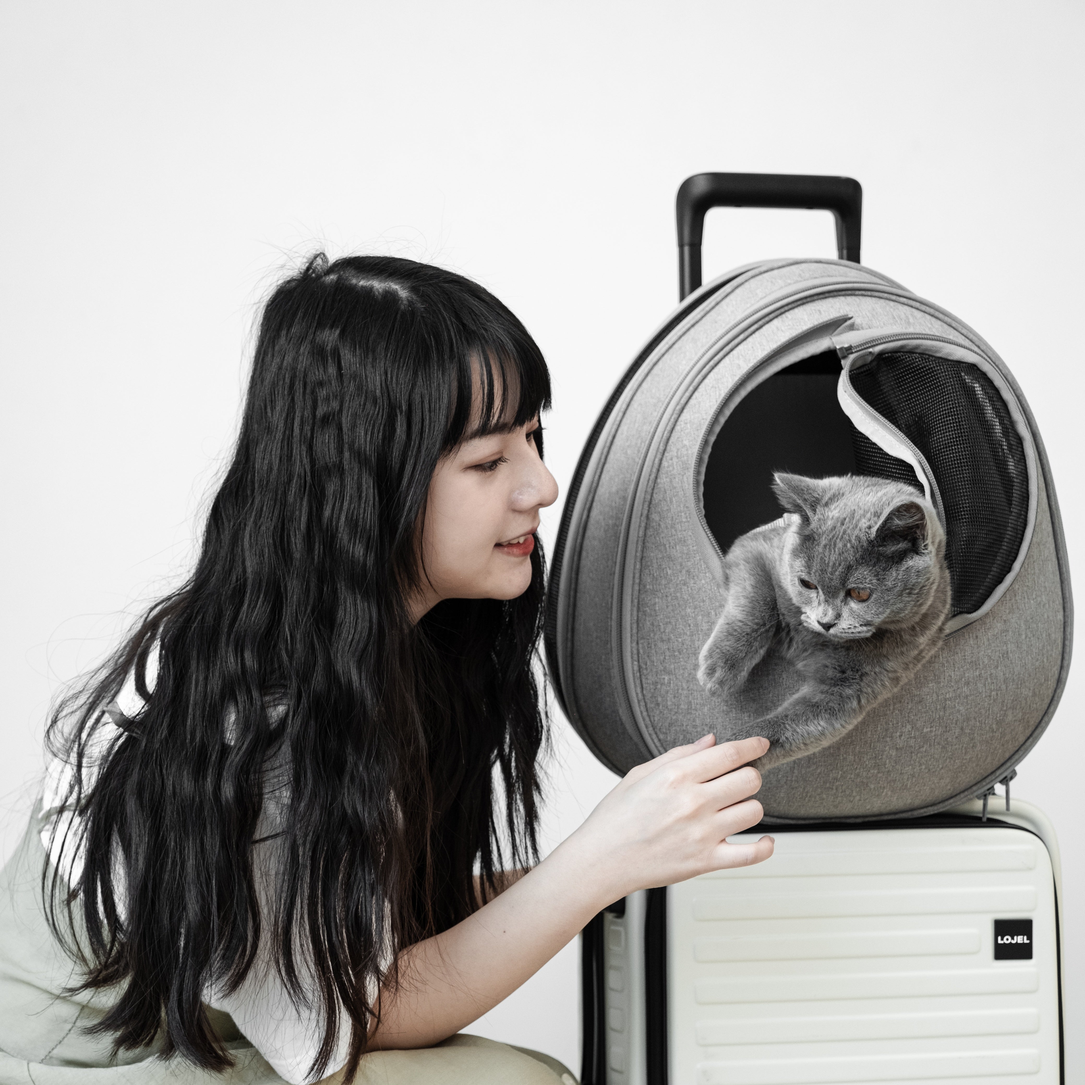 小宅生活 Housmall Living 一包兩用 EGGY 小宅包|優雅淺灰 - 高品質寵物背包 - 特價 $TWD 3060|LOVE PET FAMILY