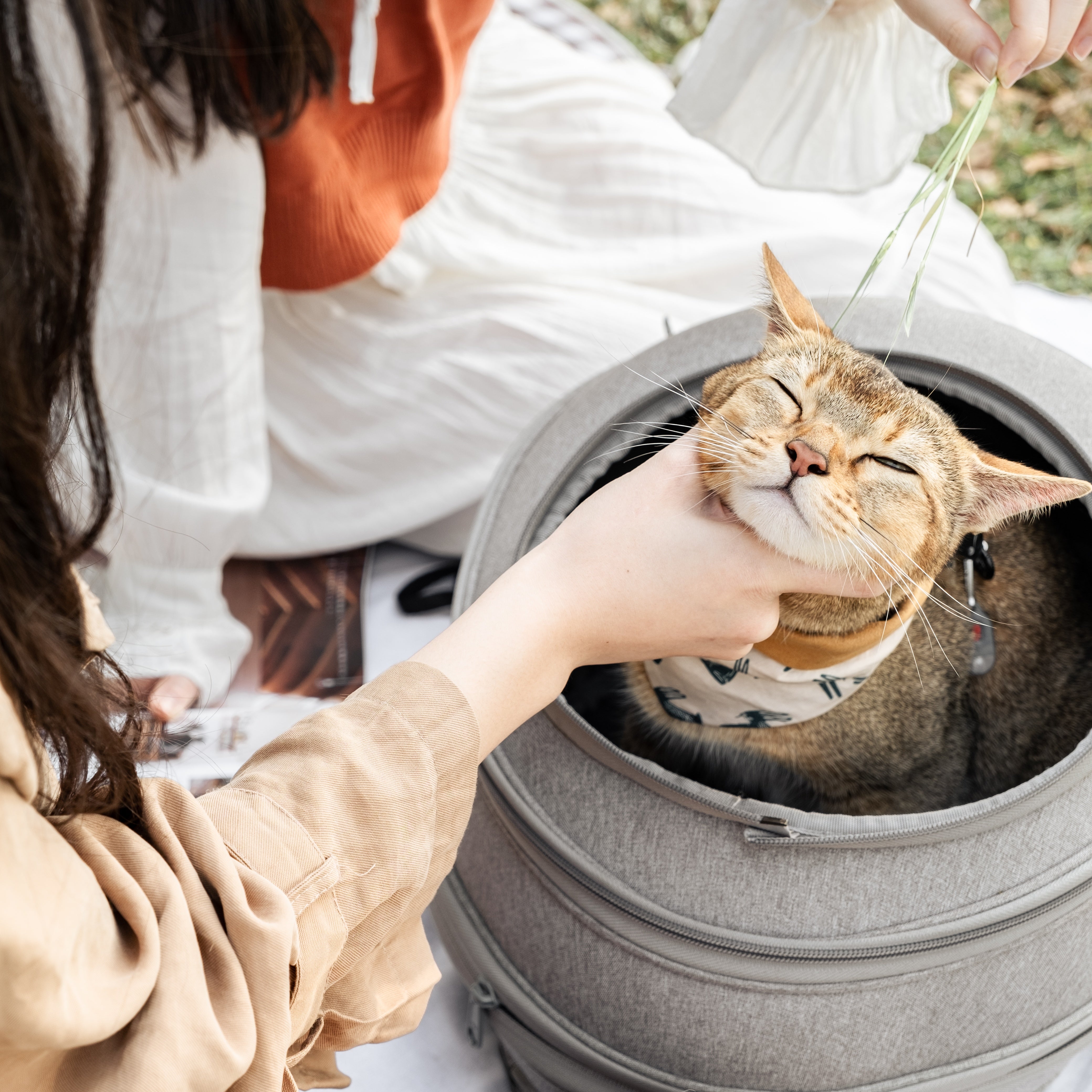 小宅生活 Housmall Living 一包兩用 EGGY 小宅包|優雅淺灰 - 高品質寵物背包 - 特價 $TWD 3060|LOVE PET FAMILY