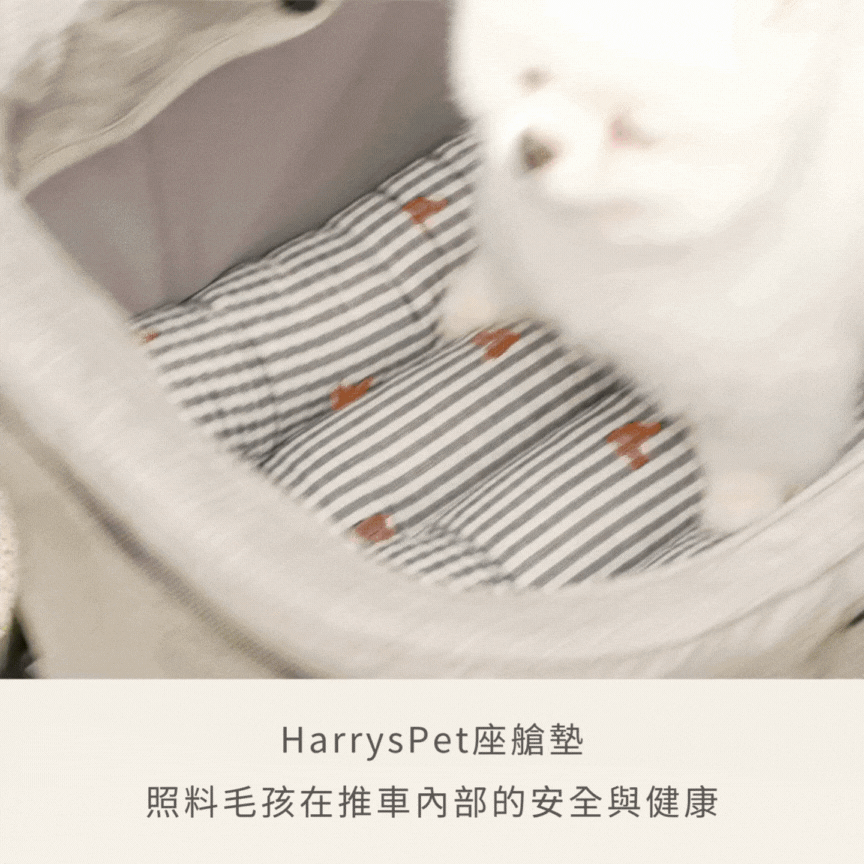 韓國 HARRYSPET 寵物推車配件推車座艙墊|Premium 系列 - 高品質寵物推車配件 - 特價 $TWD 1872|LOVE PET FAMILY