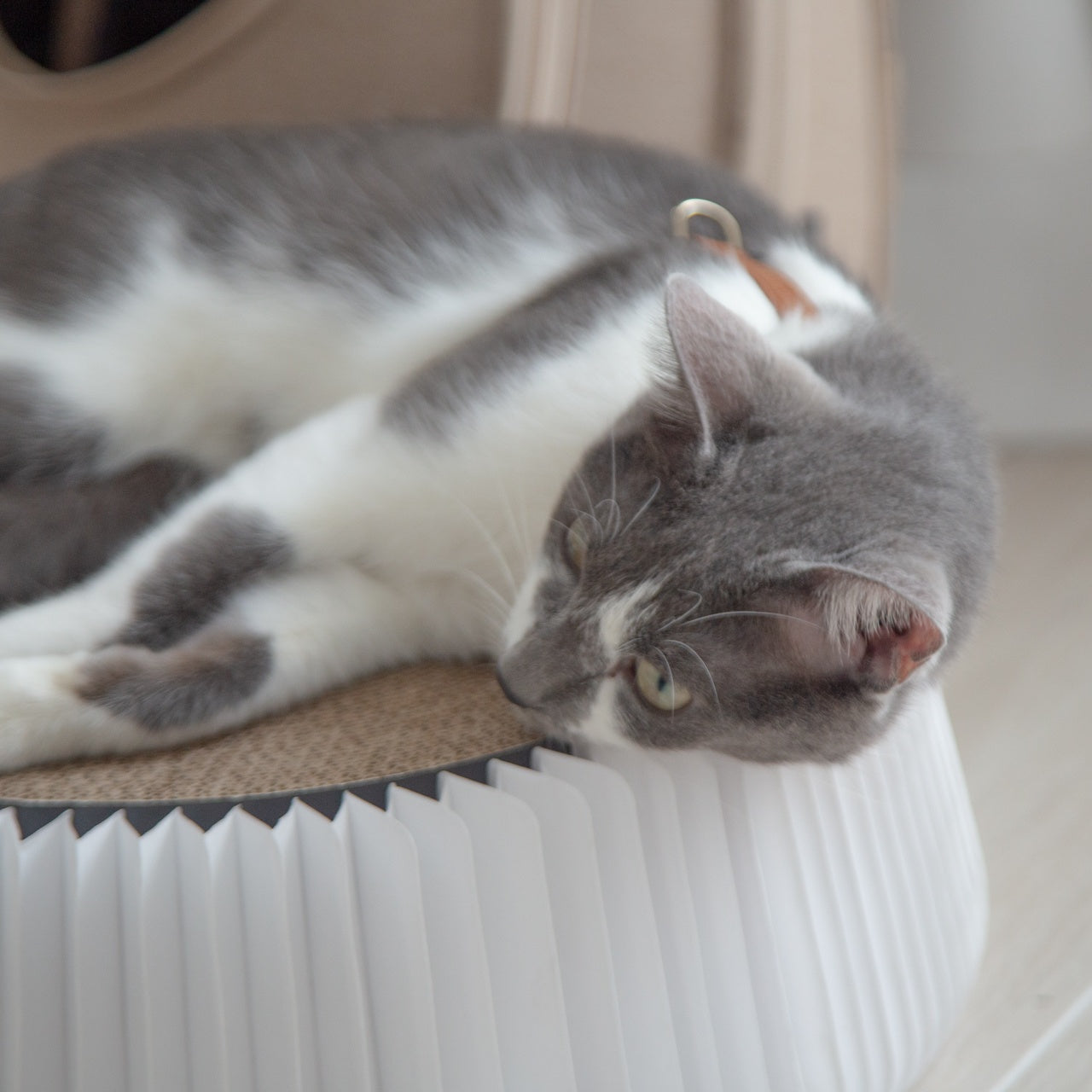 小宅生活 Housmall Living POUF 小宅貓抓板 - 高品質貓抓板 - 特價 $TWD 600|LOVE PET FAMILY