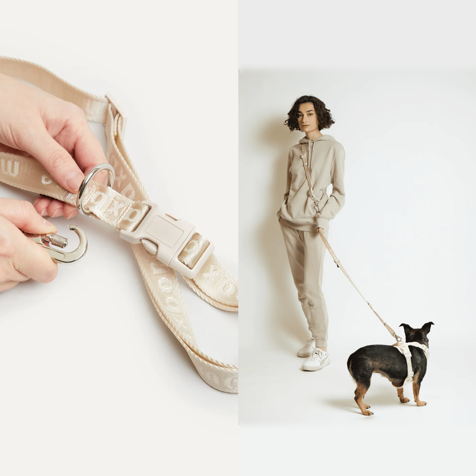 美國 maxbone 馬卡龍多功能免持寵物牽繩 Ease Hands Free Leash