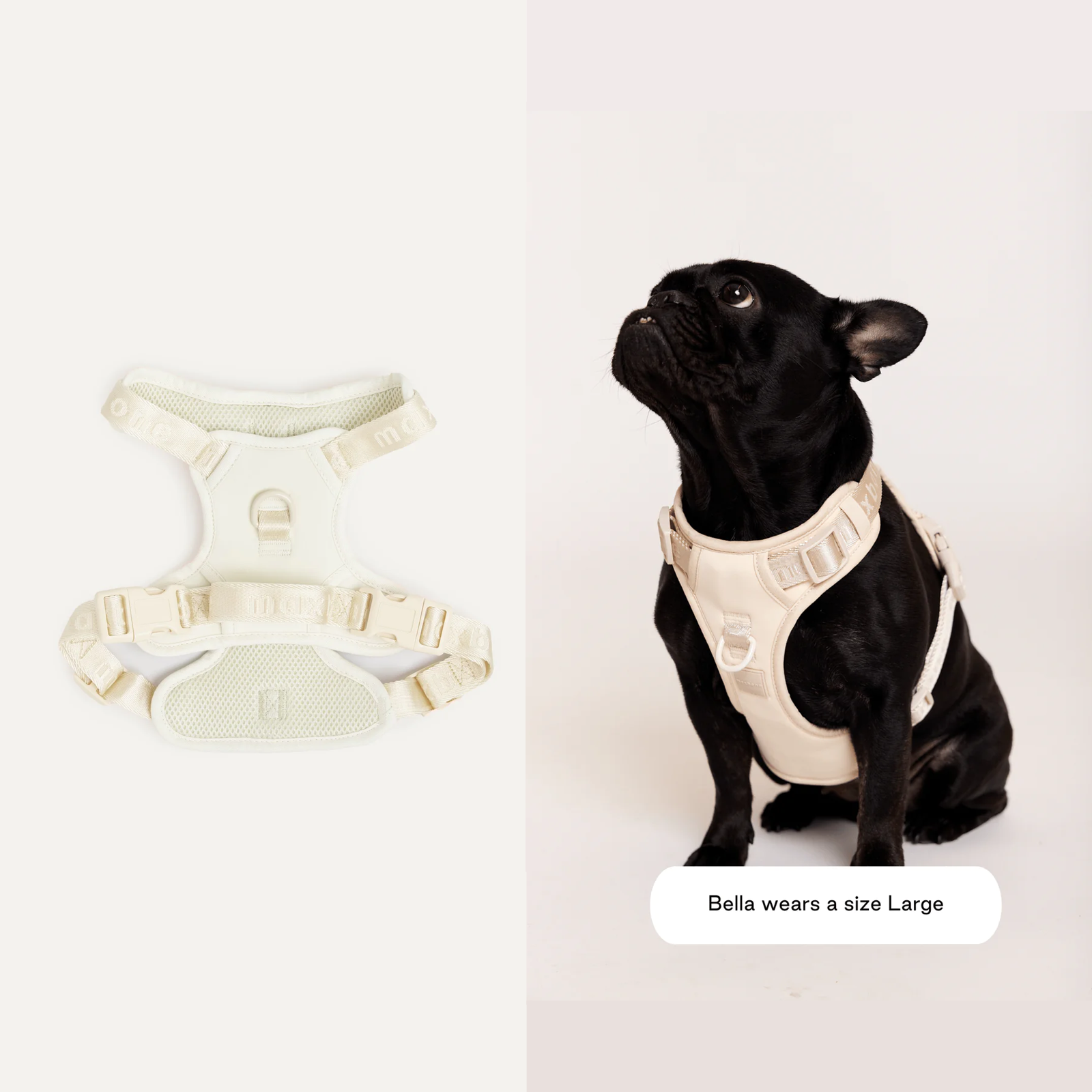 美國 maxbone 馬卡龍透氣寵物胸背帶 Easy Fit Harness