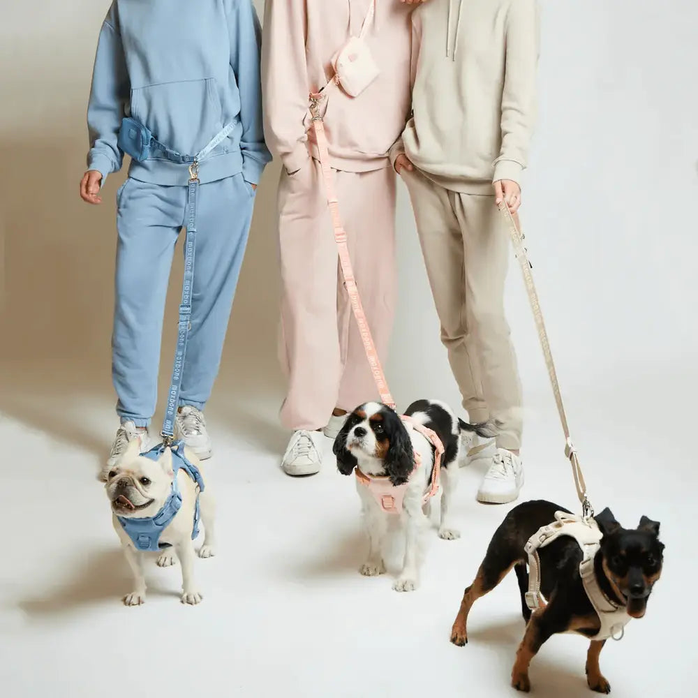 美國 maxbone 馬卡龍多功能免持寵物牽繩 Ease Hands Free Leash