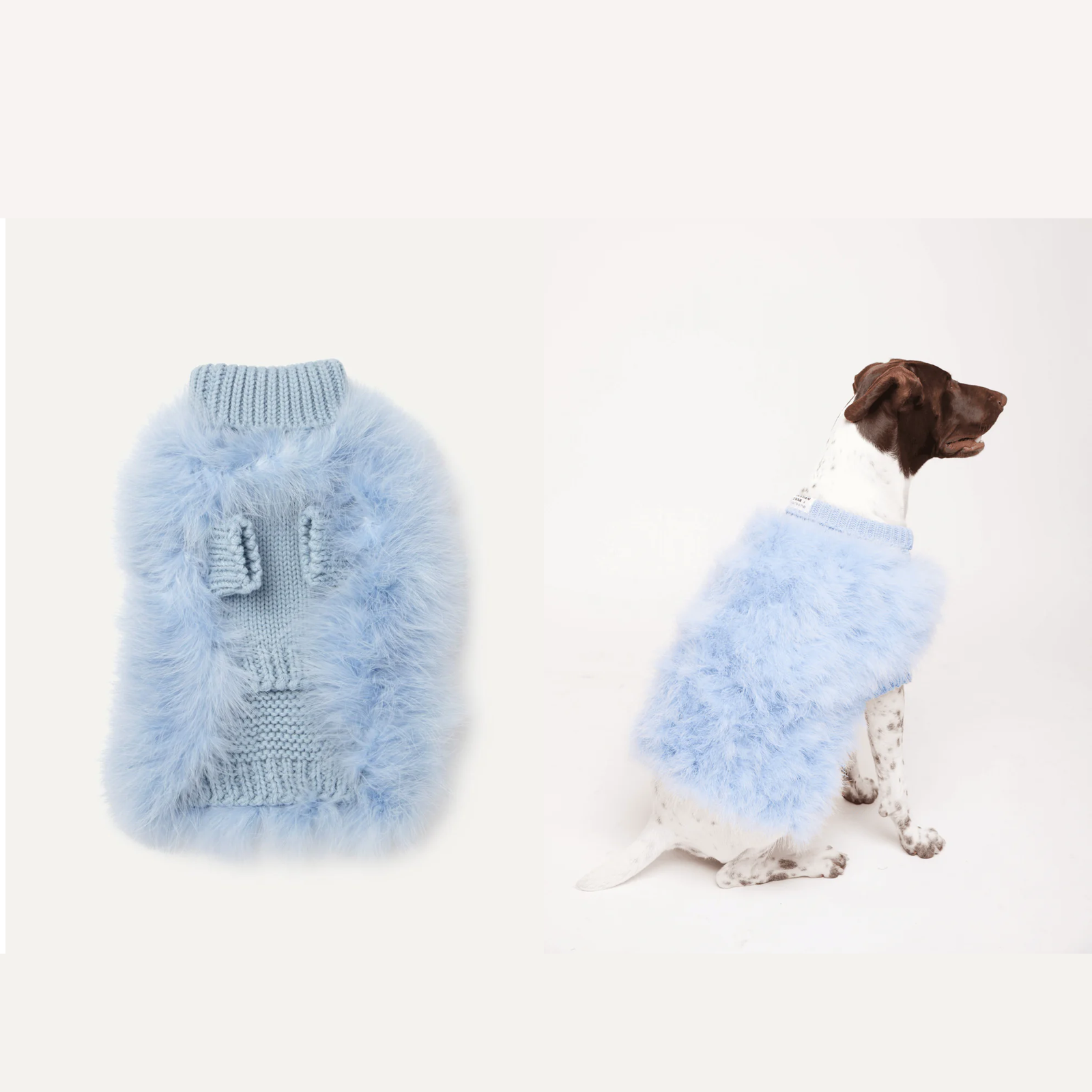 American maxbone x Christian Cowan joint pet clothing jumper sweater