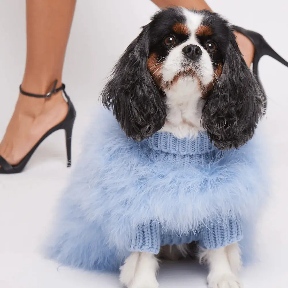 美國 maxbone x Christian Cowan 聯名寵物服飾澎澎毛衣 Jumper