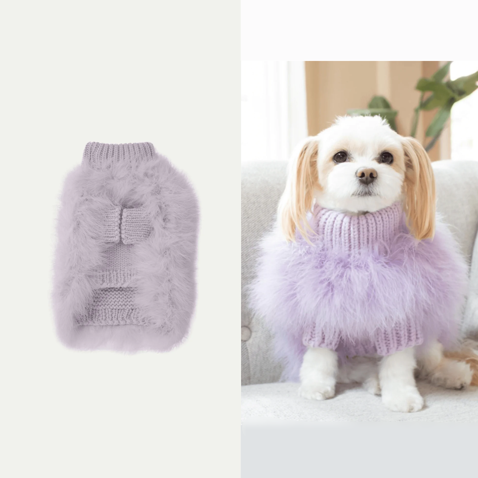 American maxbone x Christian Cowan joint pet clothing jumper sweater