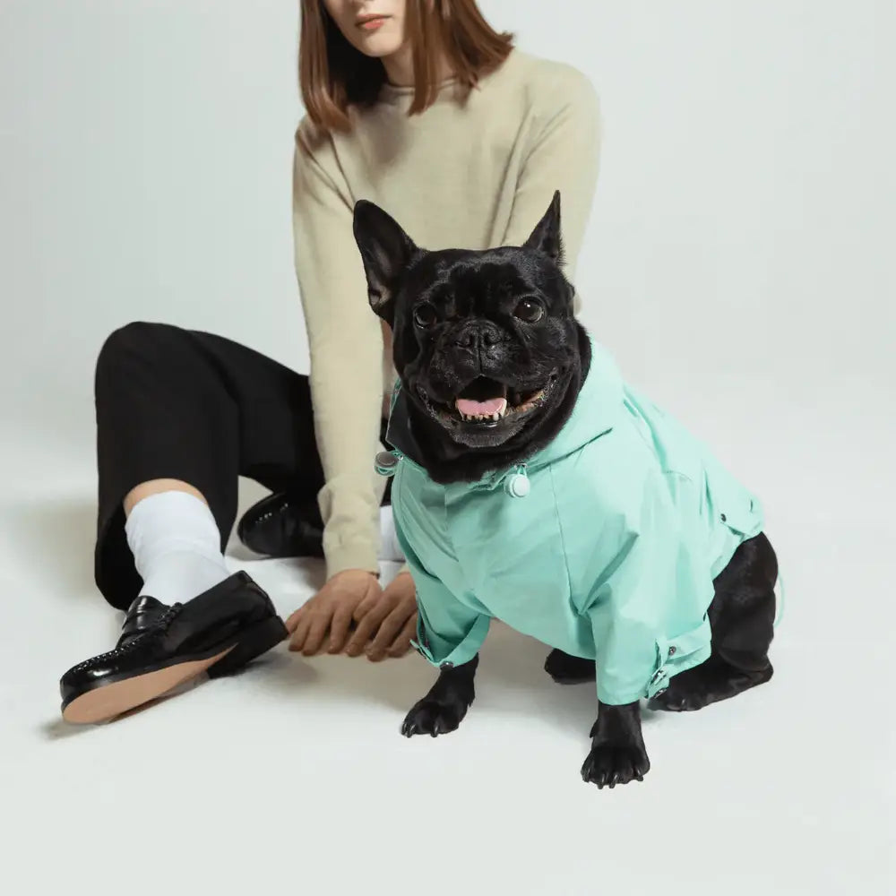 美國 maxbone 輕便機能連帽狗雨衣 Talon Riancoat