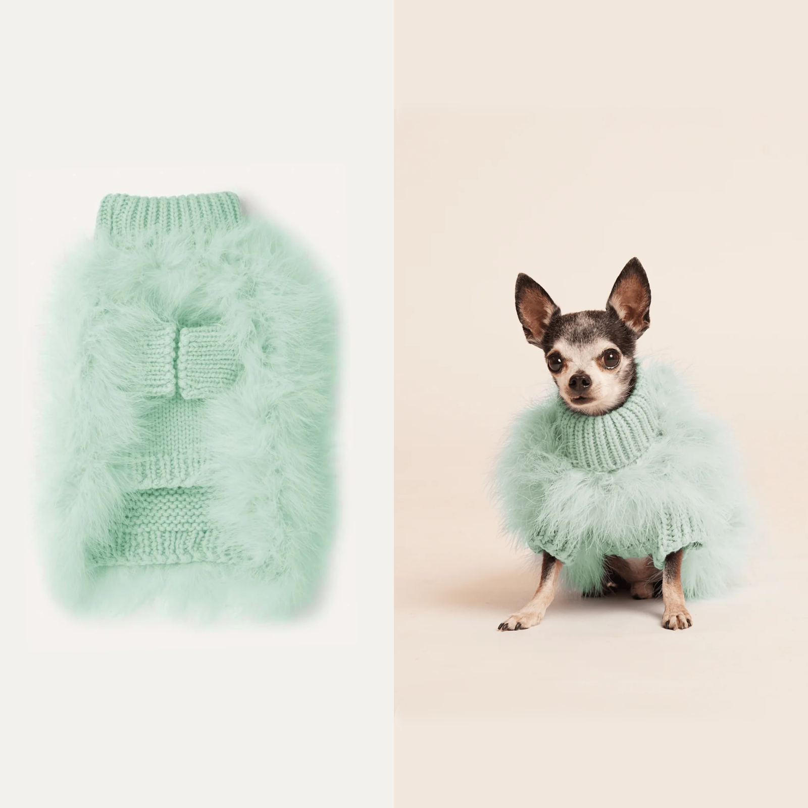 American maxbone x Christian Cowan joint pet clothing jumper sweater