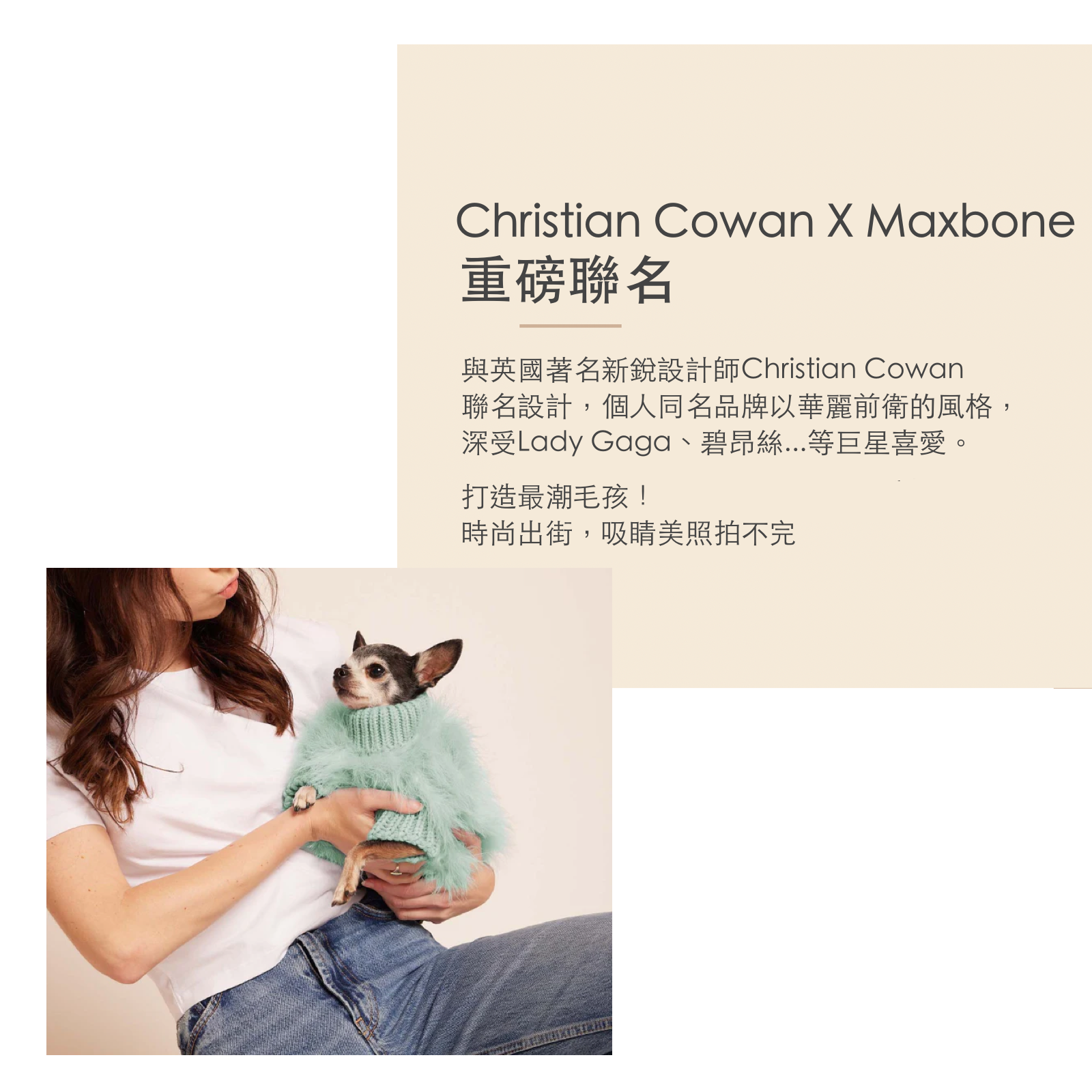 American maxbone x Christian Cowan joint pet clothing jumper sweater