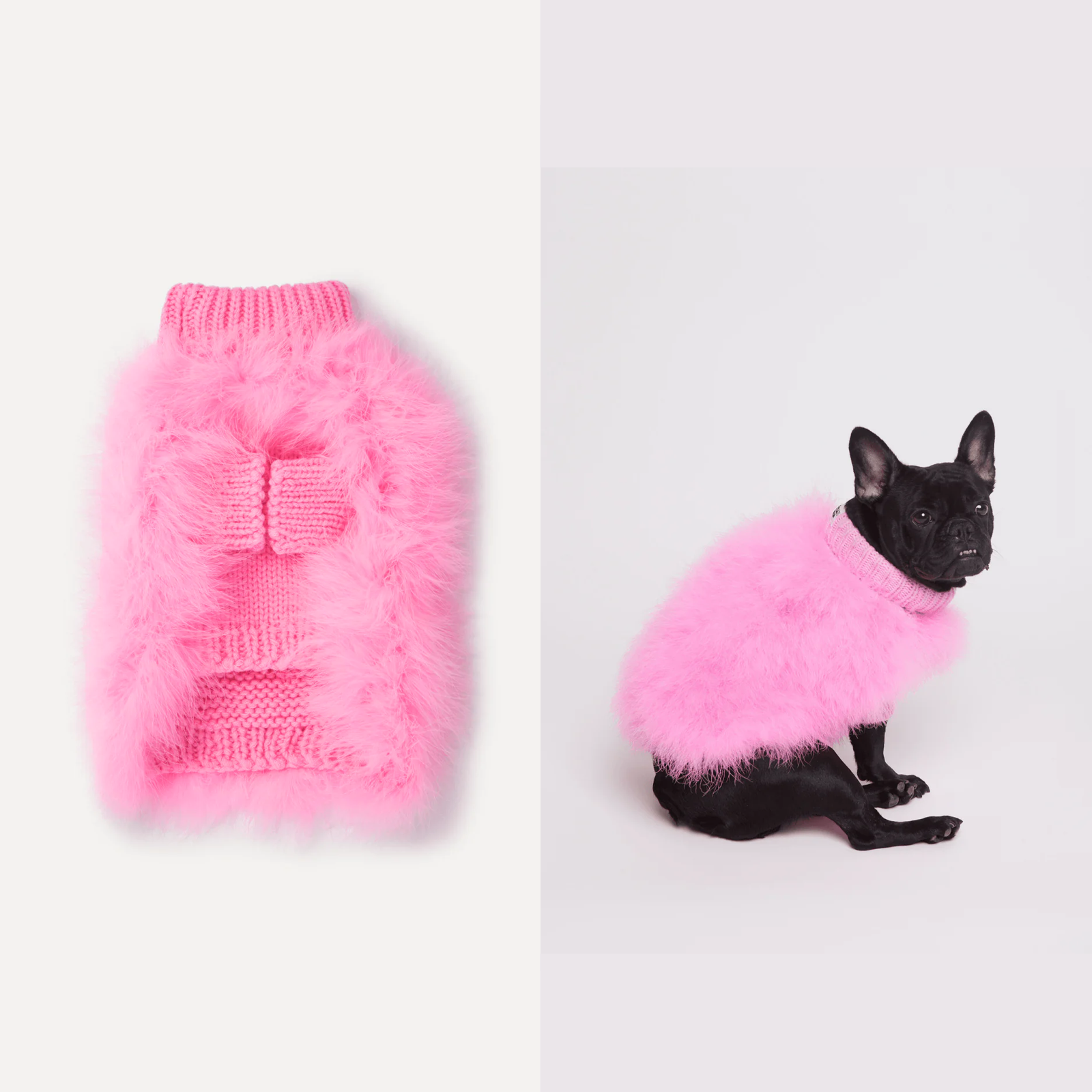 American maxbone x Christian Cowan joint pet clothing jumper sweater