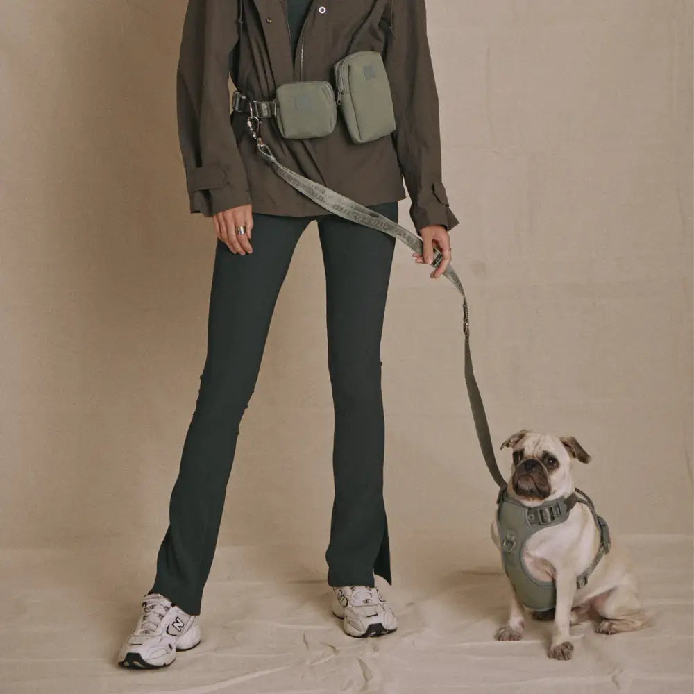 美國 maxbone 馬卡龍多功能免持寵物牽繩 Ease Hands Free Leash