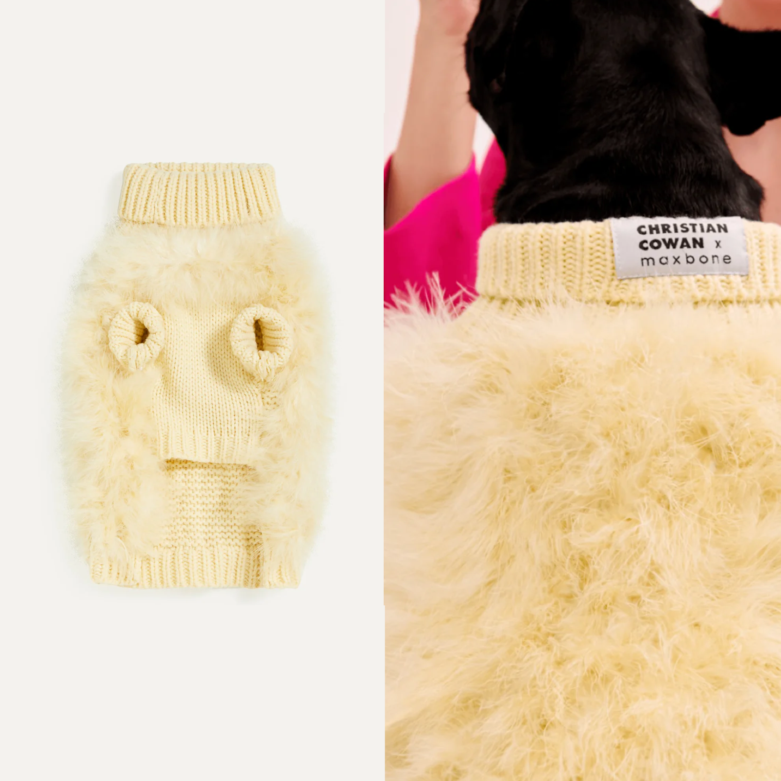 American maxbone x Christian Cowan joint pet clothing jumper sweater