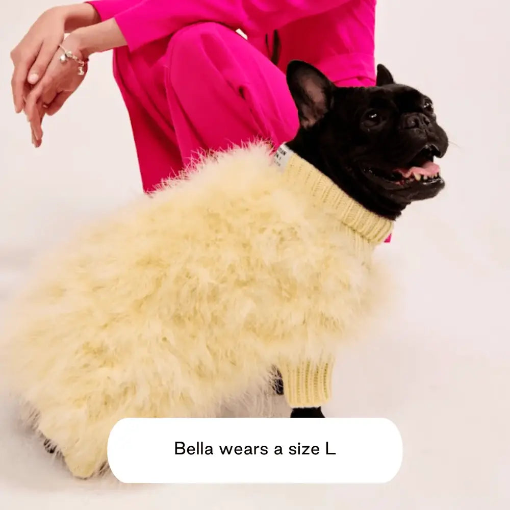 American maxbone x Christian Cowan joint pet clothing jumper sweater