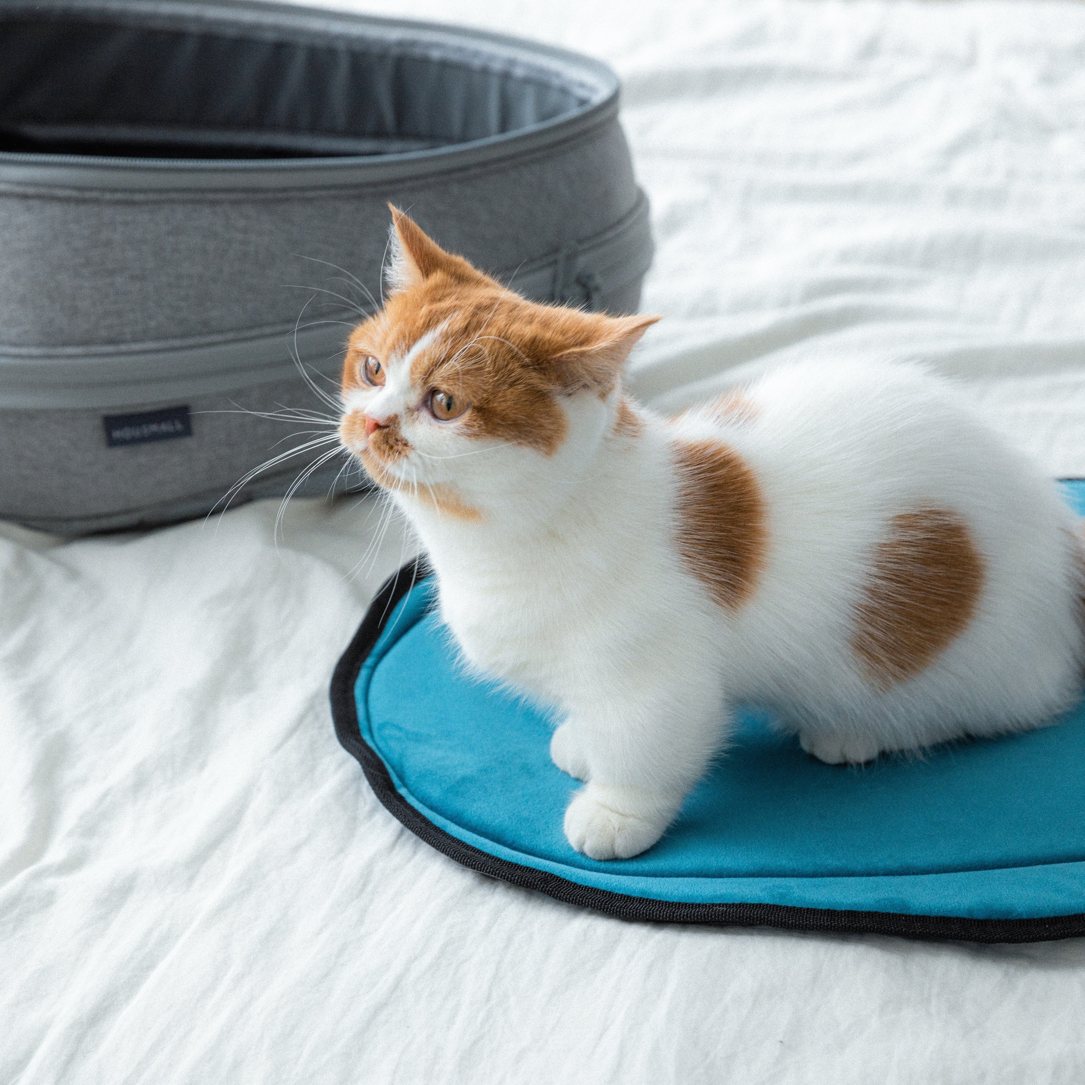 小宅生活 Housmall Living EGGY 小宅包配件|小宅墊 - 高品質寵物背包 - 特價 $TWD 300|LOVE PET FAMILY