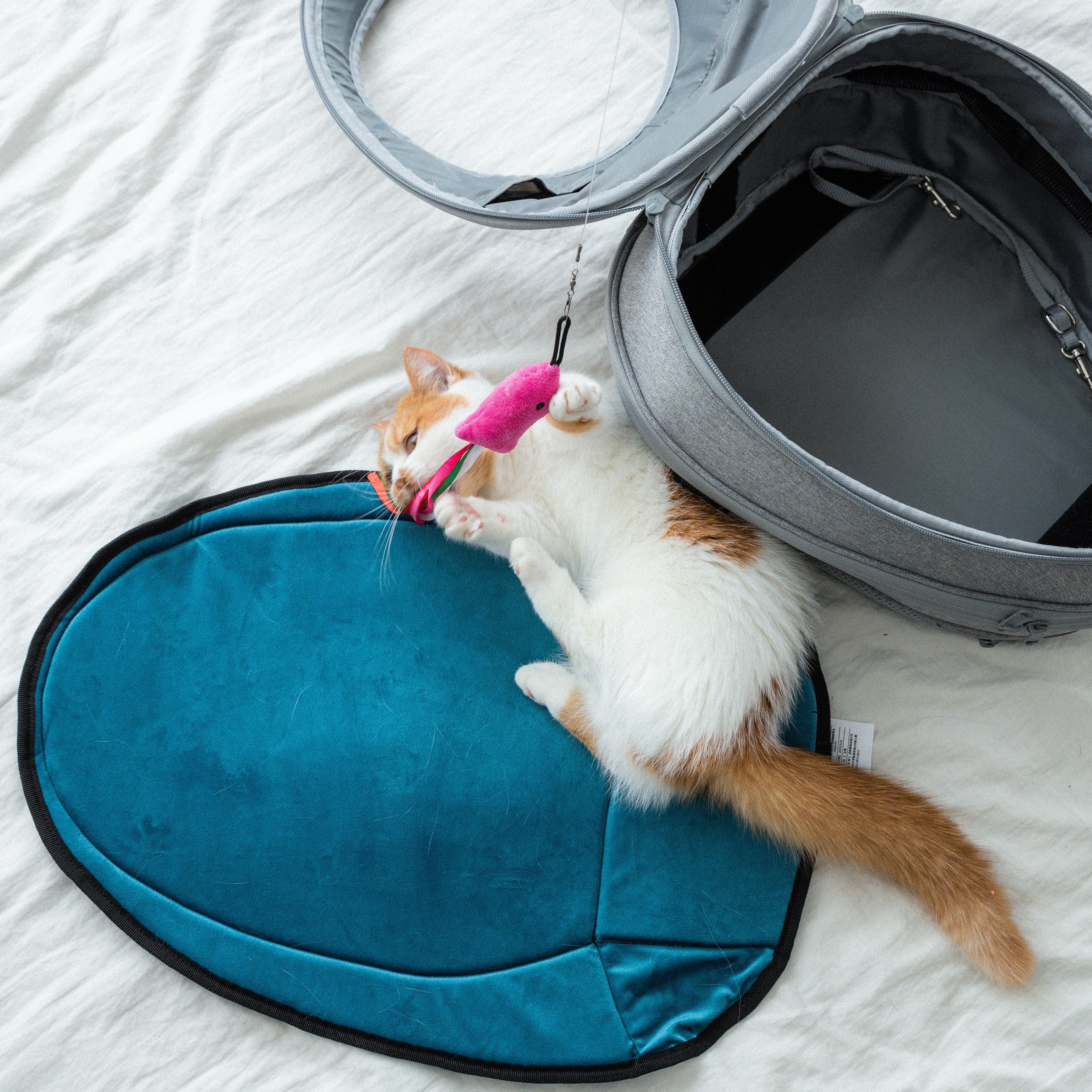 小宅生活 Housmall Living EGGY 小宅包配件|小宅墊 - 高品質寵物背包 - 特價 $TWD 300|LOVE PET FAMILY