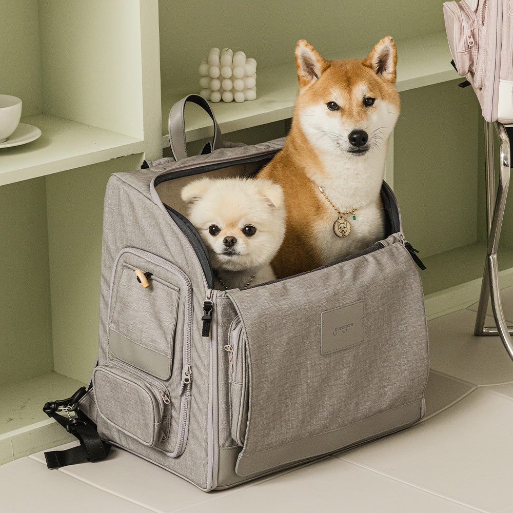 韓國 guruguru 後背式寵物外出包 Wegobag|Venti size 12 kg 以下適用 - 高品質寵物背包 - 特價 $TWD 7000|LOVE PET FAMILY