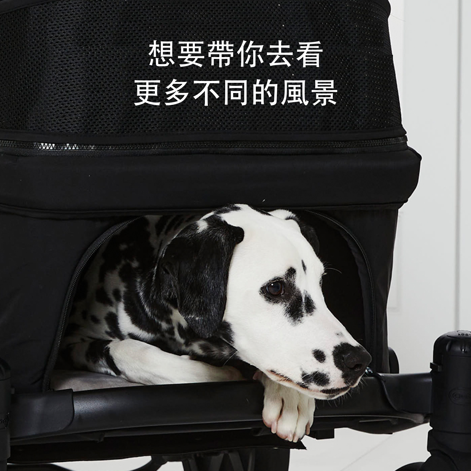 [Wholesale] 韓國 POMPOLARR PET 低重心雙開敞篷寵物推車｜一秒自動收車｜黎明黑 - 高品質 - 特價 $TWD 25800｜LOVE PET FAMILY