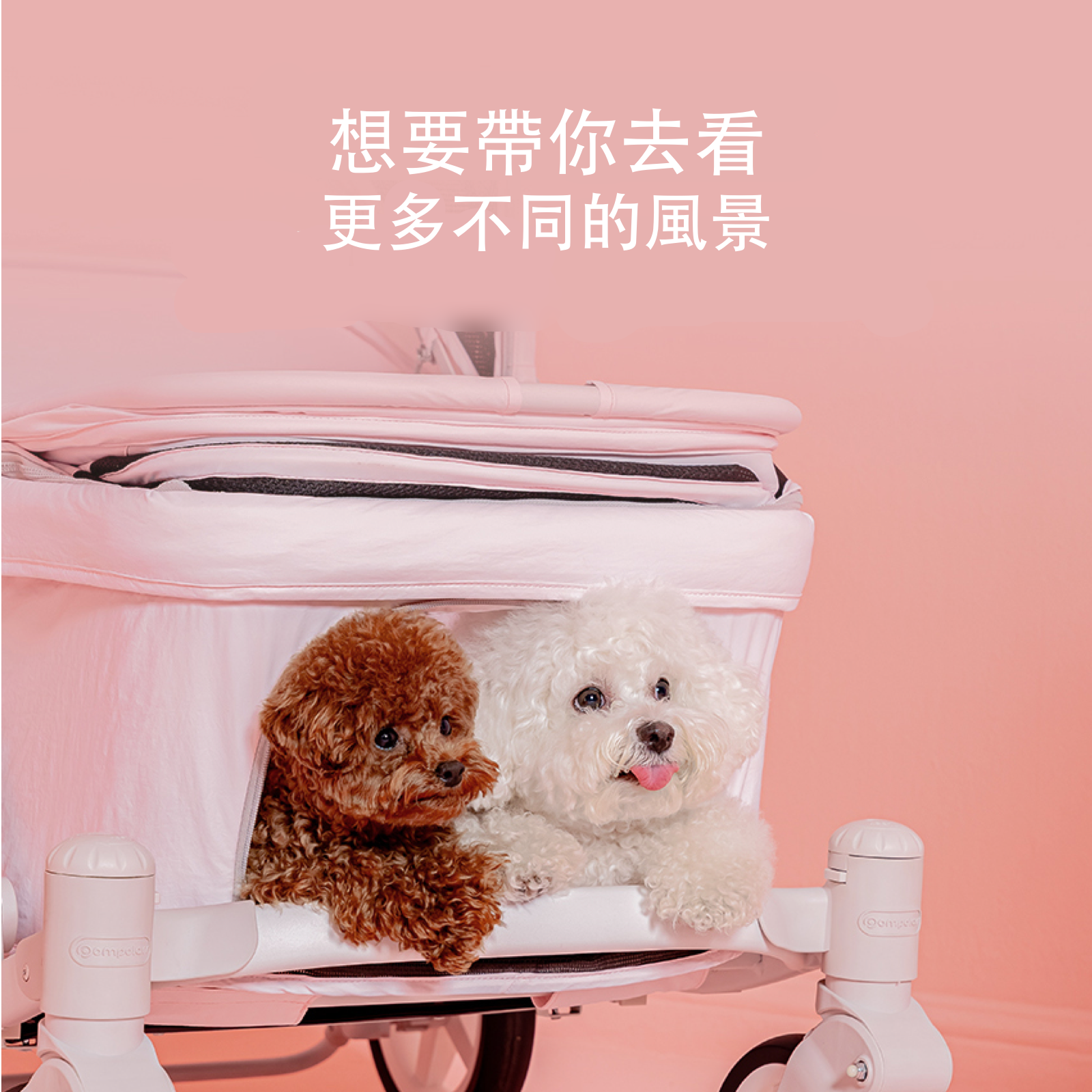 韓國 POMPOLARR PET 低重心雙開敞篷寵物推車｜一秒自動收車｜冰川藍 - 高品質寵物推車 - 特價 $TWD 18800｜LOVE PET FAMILY